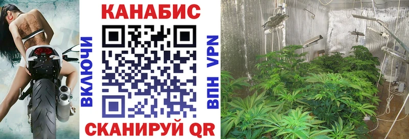 Шишки марихуана индика Чекалин